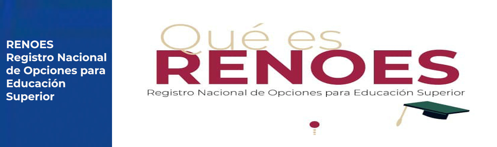 Qué es RENOES