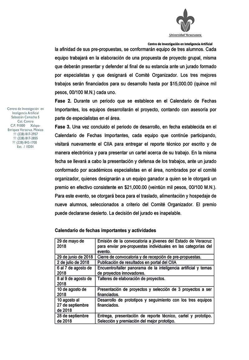 Convocatoria Programa de Fomento a las Vocaciones en el Área de Inteligencia Artificial_Página_3.jpg