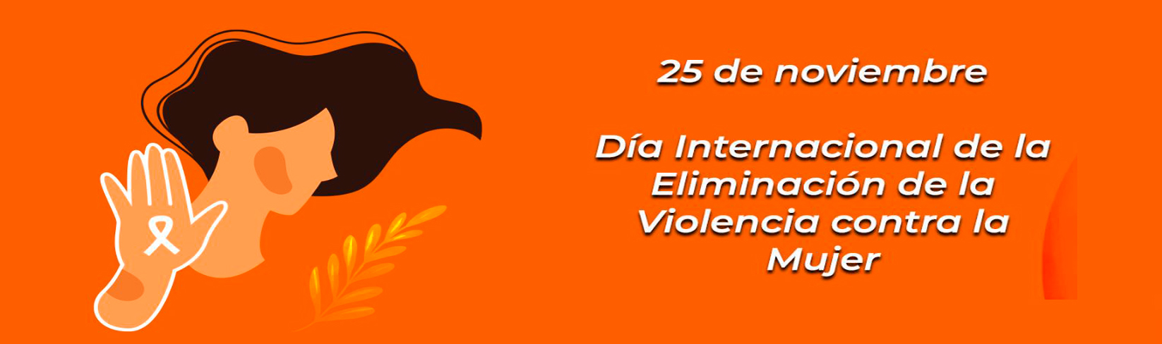 25 de Noviembre  Día Internacional de la Eliminación de la Violencia contra la Mujer