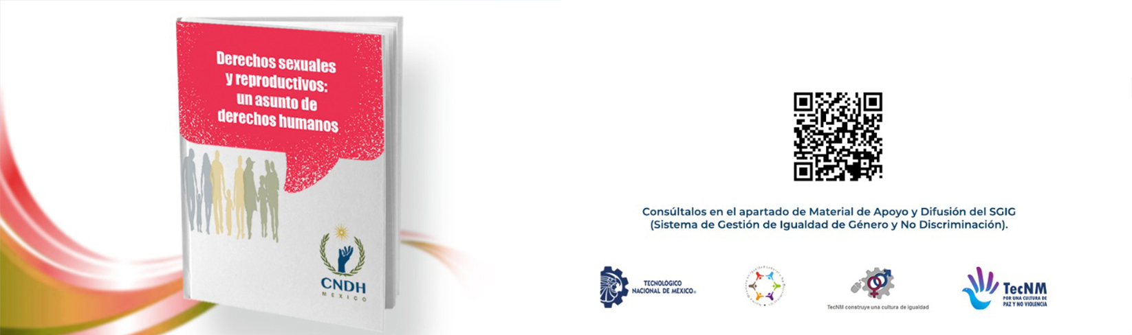 Derechos sexuales y reproductivos: un asunto de derechos humanos