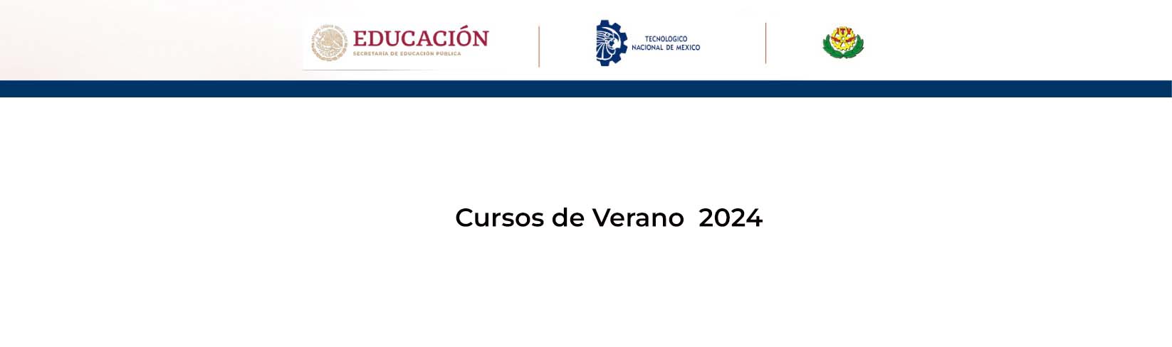 Verano cursos 2024 (Actualización 2)