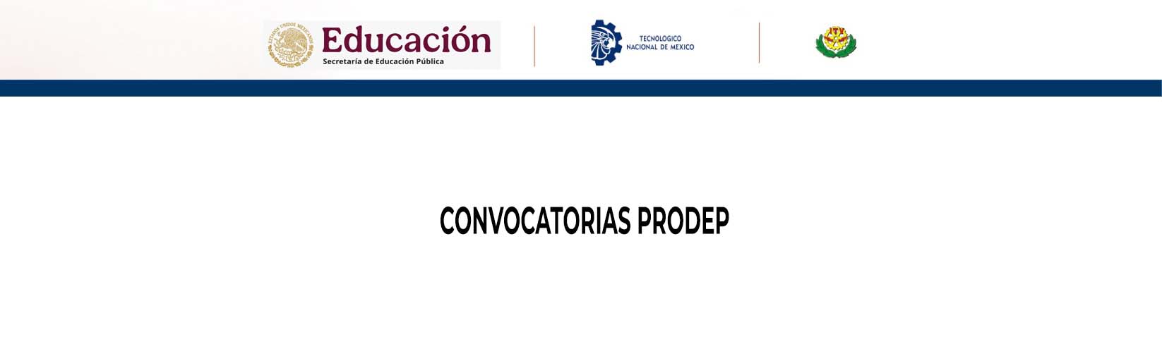 Convocatorias PRODEP 2025