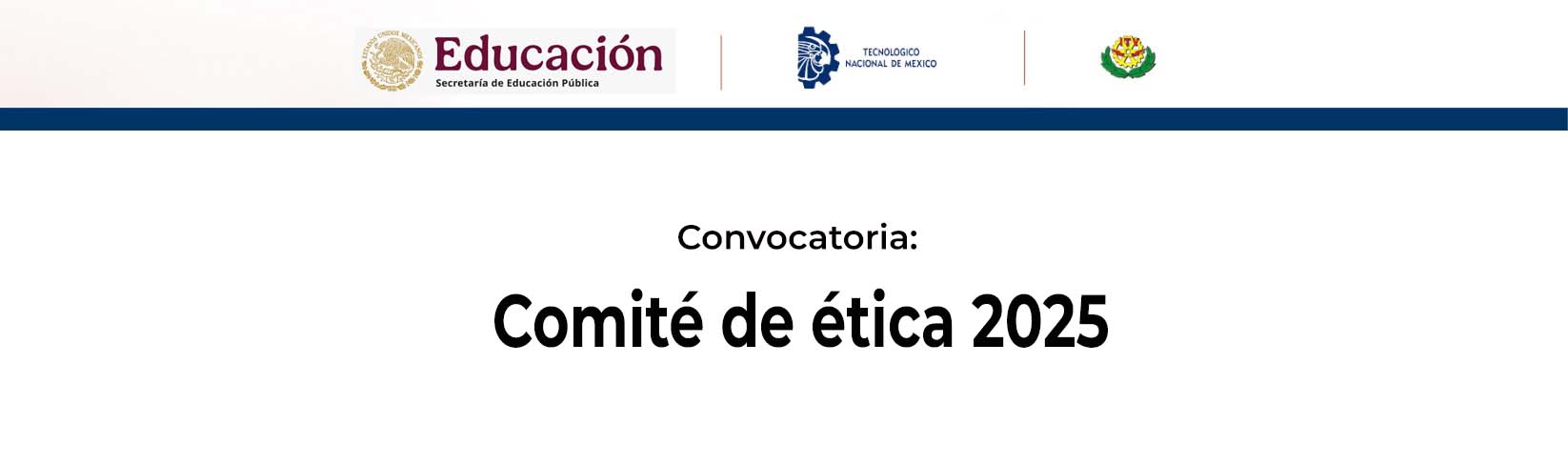 Convocatoria comite de etica 2025